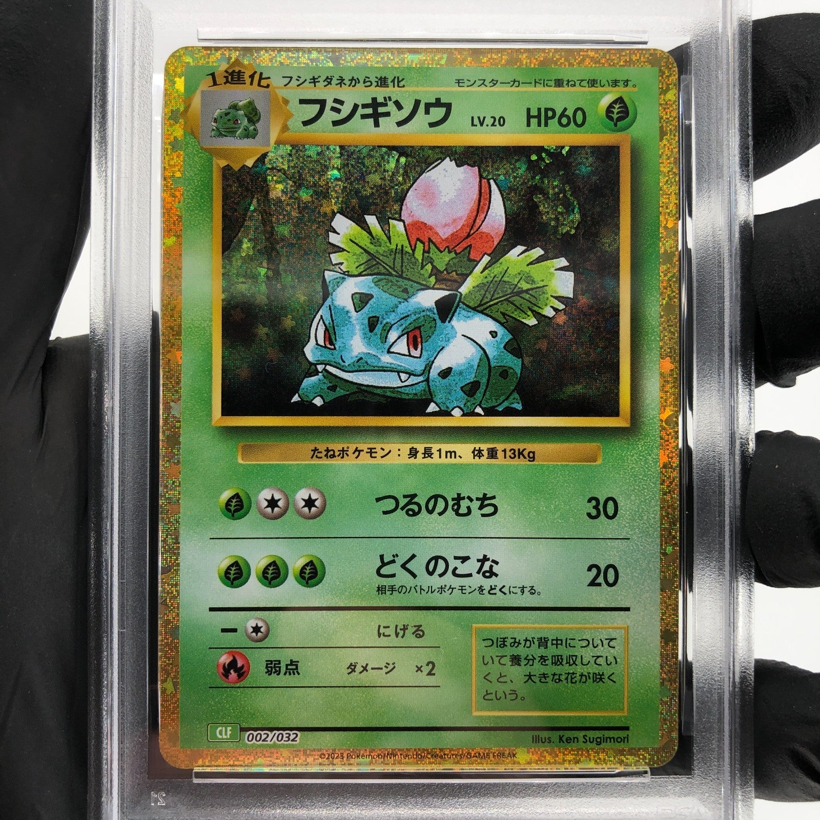 PSA 9 Pokemon Card Ivysaur 002/032 Holo CLF Japanese Karte [9]